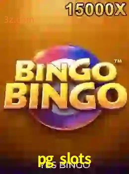 bingobingo